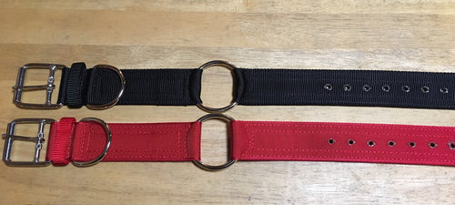 2" Nylon Collar with Center Ring & D Ring