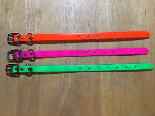 3/4" Day-Glo Puppy or Small Dog Collar