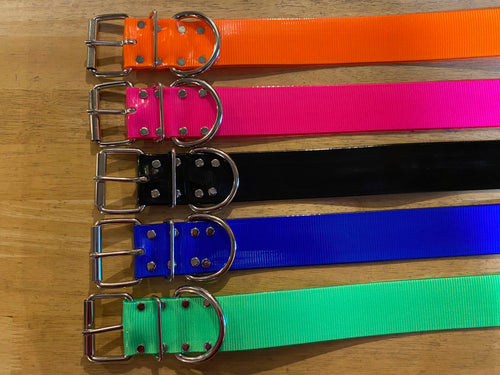 2" BioThane Collar – C Ring or D Ring