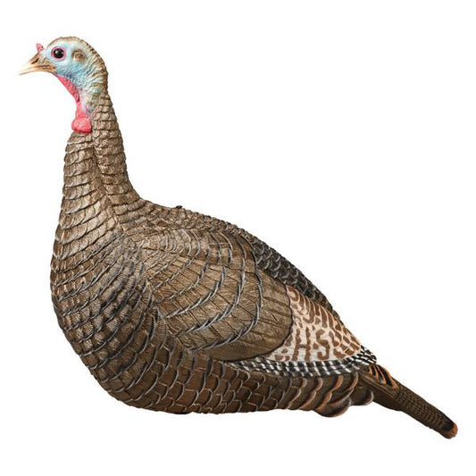 Hunters Specialties Strut-Lite Turkey Decoy Hen SKU 90092