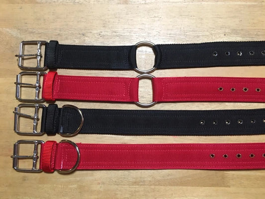 Wild Boar USA 2-Inch Nylon Working Dog Collar