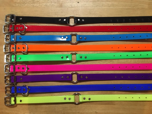Wild Boar USA 1-Inch Day Glo Working Dog Collar – Nickel-Plated Hardware