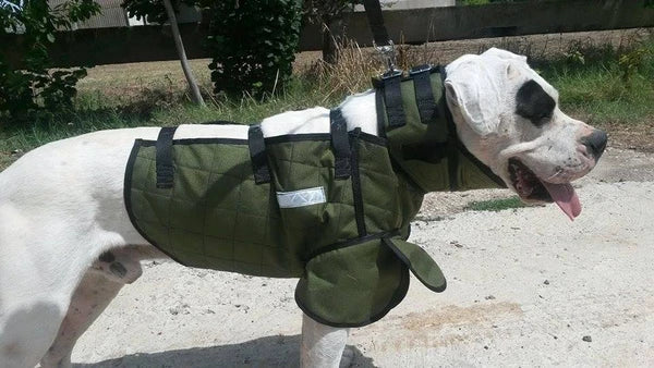 Wild Boar USA Guardian Vest