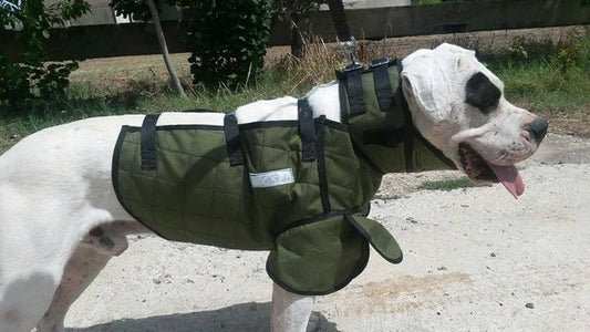 Wild Boar USA Guardian Vest