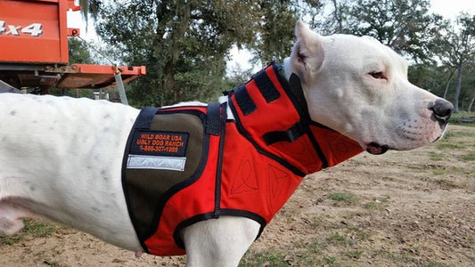 Wild Boar USA Mason's Way Vest